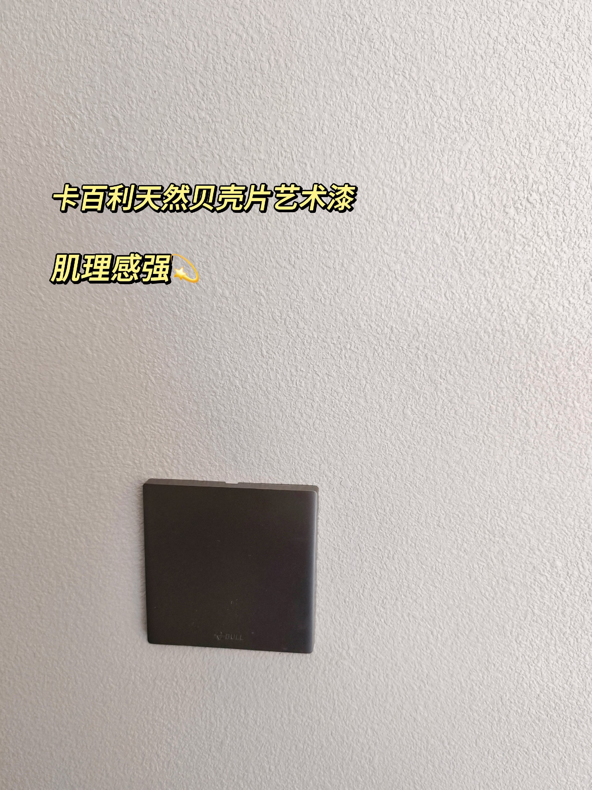 雅晶石藝術漆